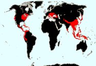 Distribuci�n mundial de Aquifoliaceae: Comprende 3 g�neros y alrededor de 400 especies repartidas por las regiones templadas y tropicales, aunque poco representada en �frica y Australia.
