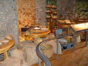 botanicoatlantico4.jpg (12144 bytes)