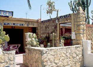 Entrada a Cactuslandia