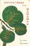 Native trees of the Bahamas