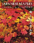 JAPANESE MAPLES. J.D. Vertrees. (2001) Timber Press