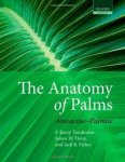 THE ANATOMY OF PALMS. ARECACEAE-PALMAE. P.Barry Tomlinson et al. (2011) Oxford Univ. Press