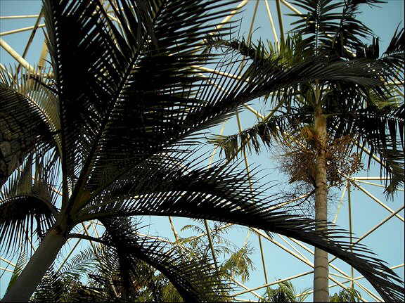 Jardines palmetum Tenerife