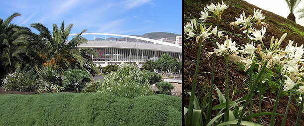 Jardines palmetum Canarias