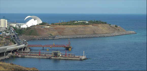 Futuro del palmetum tenerife