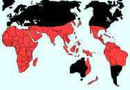 Distribuci�n mundial de Agavaceae: Comprende 20 g�neros y alrededor de 600 especies de procedencia tropical y subtropical, especialmente en zonas �ridas o semi�ridas
