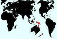 Distribuci�n mundial de la familia Corynocarpaceae