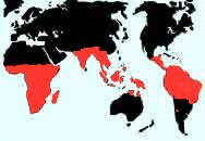 Comprende unos 20 gneros y alrededor de 300 especies de distribucin pantropical.