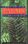 Palms of the Americas