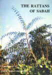 The rattans of Sabah