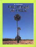 Palmeras de Chile. Dr. Juan Grau (2004) Ediciones OIKOS. Santiago de Chile. 203 p. Un libro de 200 p�ginas hablando solo de las dos especies chilenas de palmeras, Juania australis y Jubaea chilensis da para mucho, como as� es, aunque el autor incluye igualmente un corto cap�tulo dedicado a las palmeras introducidas y cultivadas en Chile. Para ambas especies se realiza un estudio taxon�mico y morfol�gico extenso, etnobot�nico y de distribuci�n natural en el pa�s, que en el caso de la palma chilena, sometida a una gran presi�n humana durante muchos a�os, ha visto reducido su �rea de distribuci�n. Se complementa el libro con sendos cap�tulos dedicados al cultivo de las palmeras y a los problemas asociados a plagas y enfermedades, estando de principio a fin profusamente ilustrado con fotograf�as a color. Indispensable para los estudiosos de este grupo de plantas de marcado acento tropical.